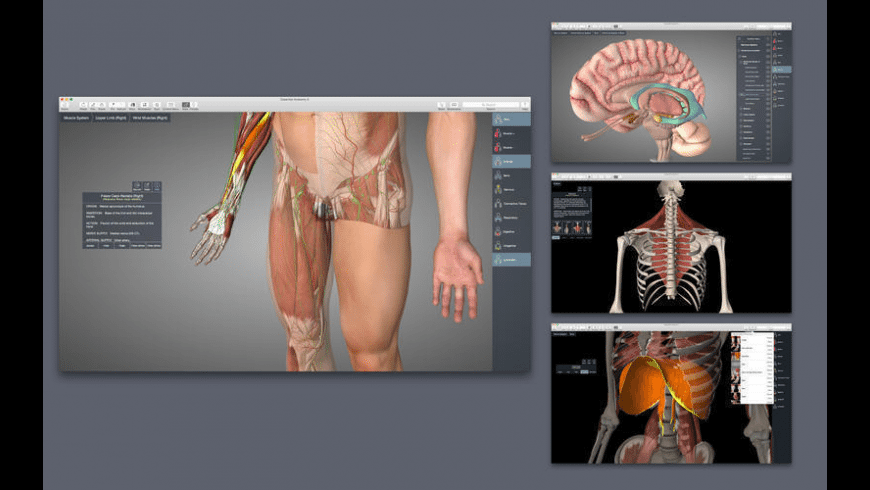 essential anatomy 5 app